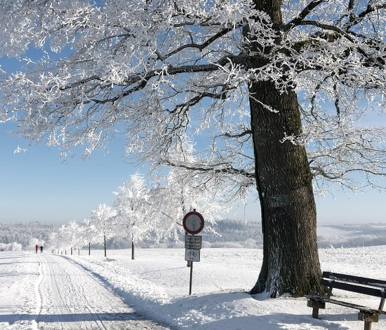 Winterlandschaft Eifel, © Yvonne Clemens-Cihlars