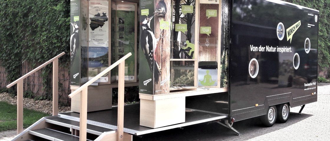 Die „Mobile Holz-Expo.NRW“: Eine Ausstellung auf vier Rädern, © Wald und Holz NRW/Ralf Stadler