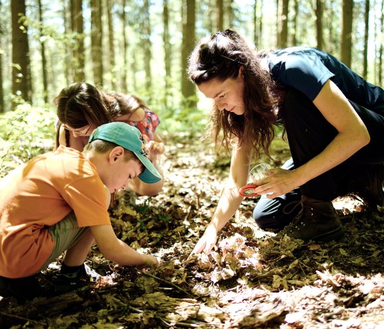 Kindern lernen im Wald, © Waldakademie