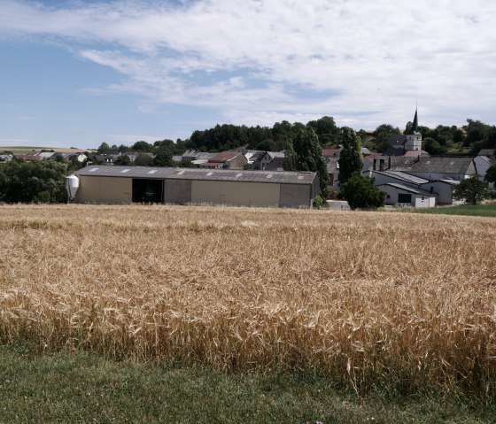 Blick auf ein Kornfeld, © RME