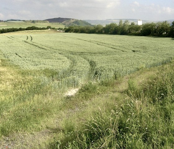 Ein Silo von Plötner, © Plötner