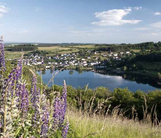 Schalkenmehrener Maar Sommer 2