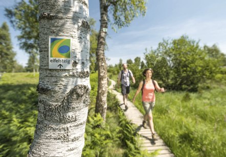 Eifelsteig, © Eifel Tourismus (ET) GmbH - Dominik Ketz