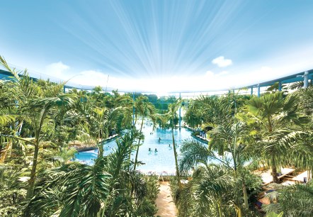 Das Palmenparadies mit echten Palmen, © Therme Euskirchen