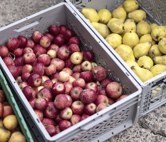 Äpfel von Streuobstwiesen, © Ralph Sondermann