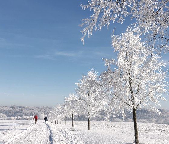 Winterlandschaft Lutzerath, © Yvonne Clemens-Cihlars