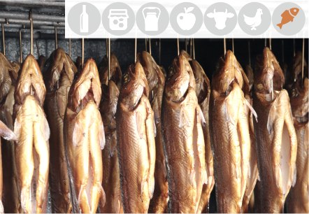 Fische geräuchert, © Bild von moerschy auf Pixabay
