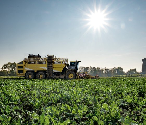 Auf dem Feld, © Pfeifer &amp; Langen GmbH &amp; Co. KG