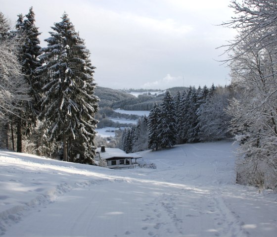 Wolfsschlucht Prüm, © Eifel Tourismus GmbH