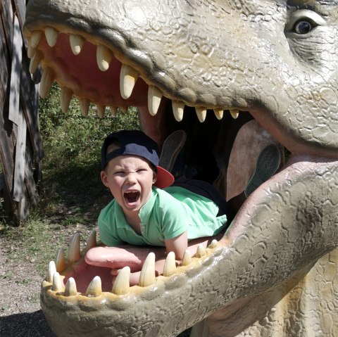 Dinopark, © Dinosaurierpark Teufelsschlucht