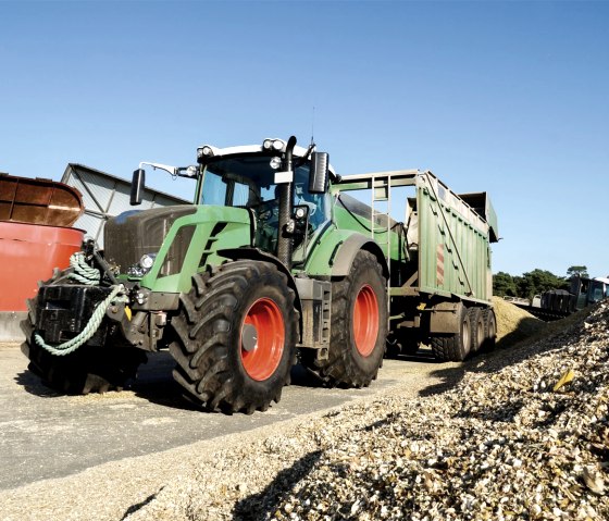 Biogas-Landwirtschaft, © AdobeStock / Countrypixel 