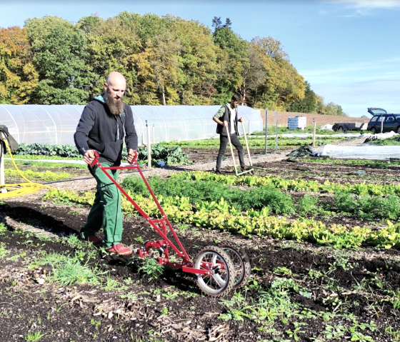 Arbeiten auf dem Acker, © Gemuesebund