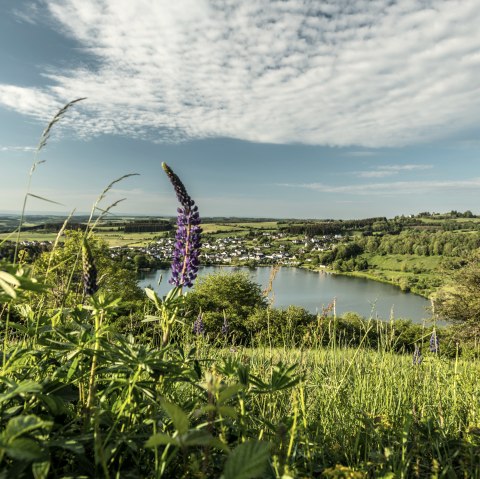 Schalkenmehrener Maar , © Eifel Tourismus GmbH, Dominik Ketz