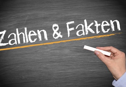 Zahlen Daten Fakten, © Adobe Stock