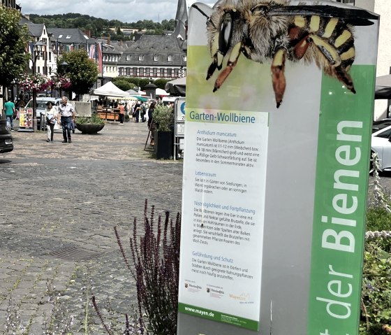 Stadt der Biene, © Eifel Tourismus GmbH