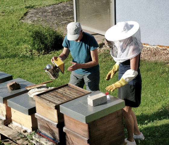 Die Bienen am Hotel, © NaturPurHotel Maarblick