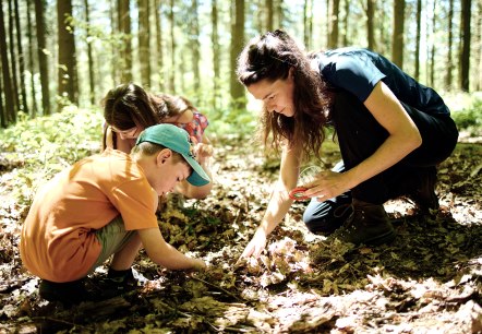 Kindern lernen im Wald, © Waldakademie