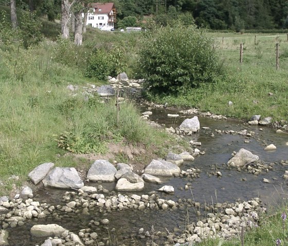 Naturnahes Gewässer, © Astakus GmbH