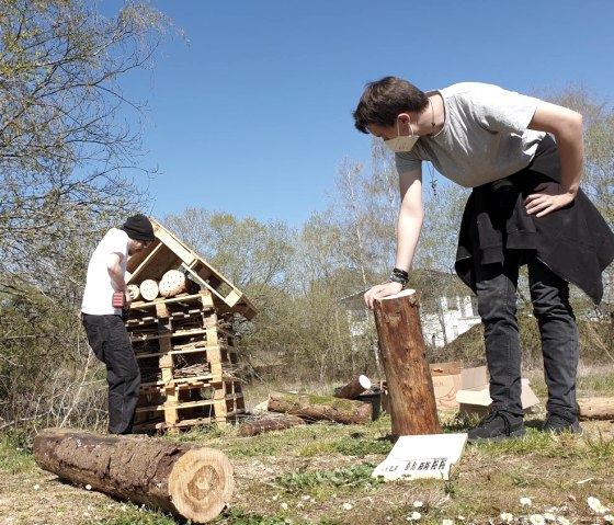 Stuco Insektenhotel, © Stuco Fullservice GmbH