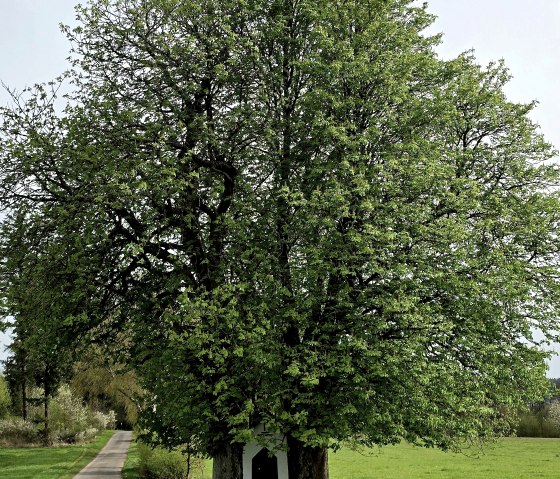 Gebetsstätte Kapelle, © Yvonne Clemens-Cihlars