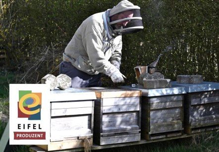 Eine Wabe mit Bienen, © Eifel Tourismus/Petra Grebe