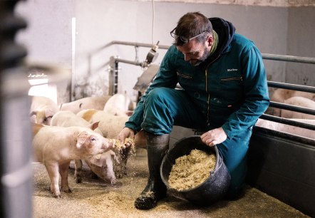 Fütterung der Ferkel, © Zukunftsinitiative Eifel (c) Lars May