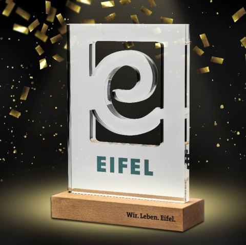 EFEL Award