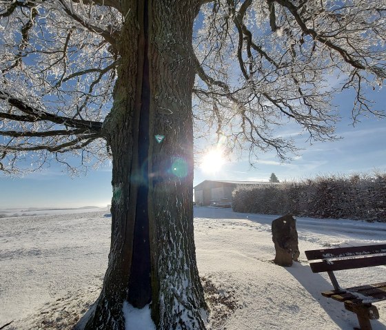 Winter in Lutzerath, © Yvonne Clemens-Cihlars