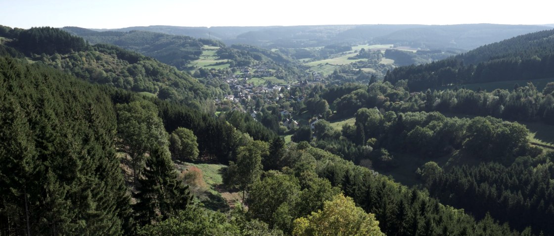 Gerolsteiner Zukunftswald, © Gerolsteiner