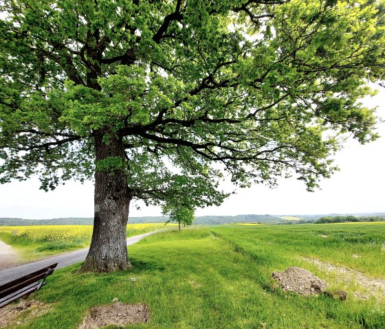 Frühling in der Vulkaneifel, © Yvonne Clemens-Cihlars