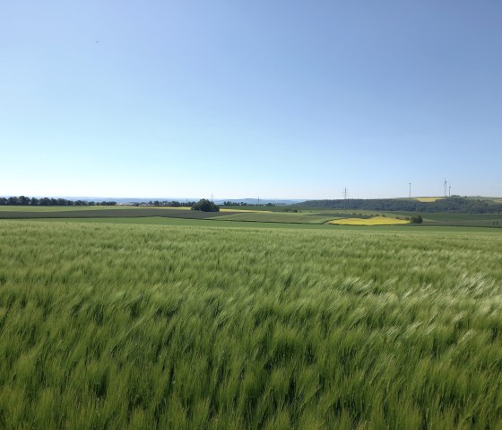 Felder vom Gertrudenhof, © RME/Tobias Fuchs